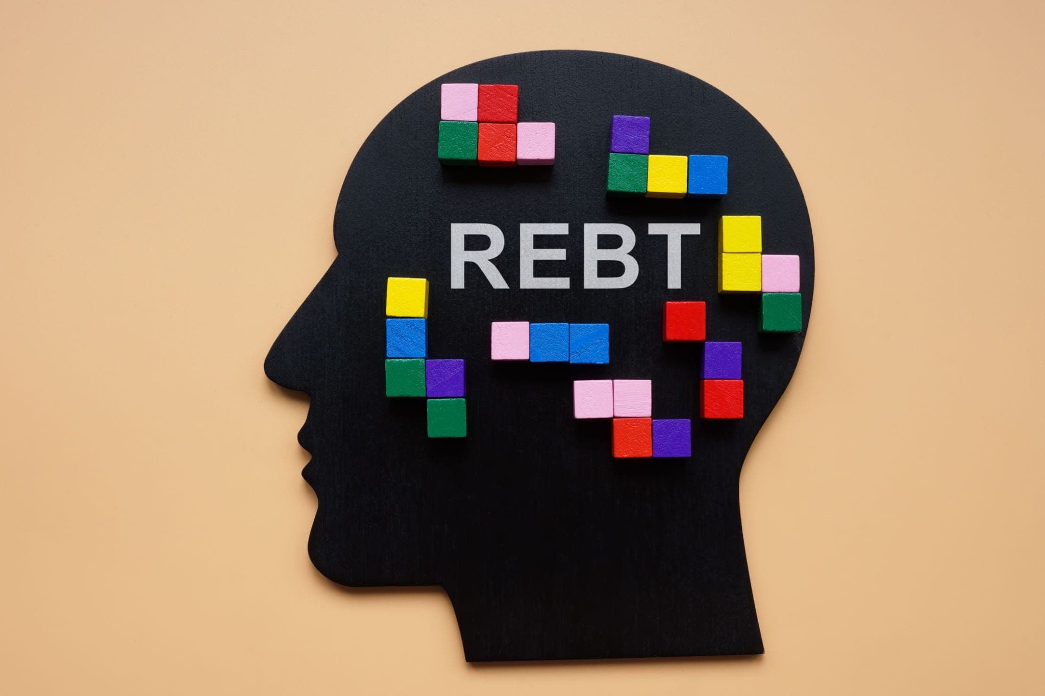 Cover image for Rational Emotive Behavior Therapy (REBT)