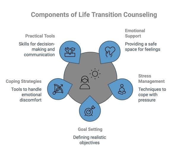 Cover image for Life Transitions